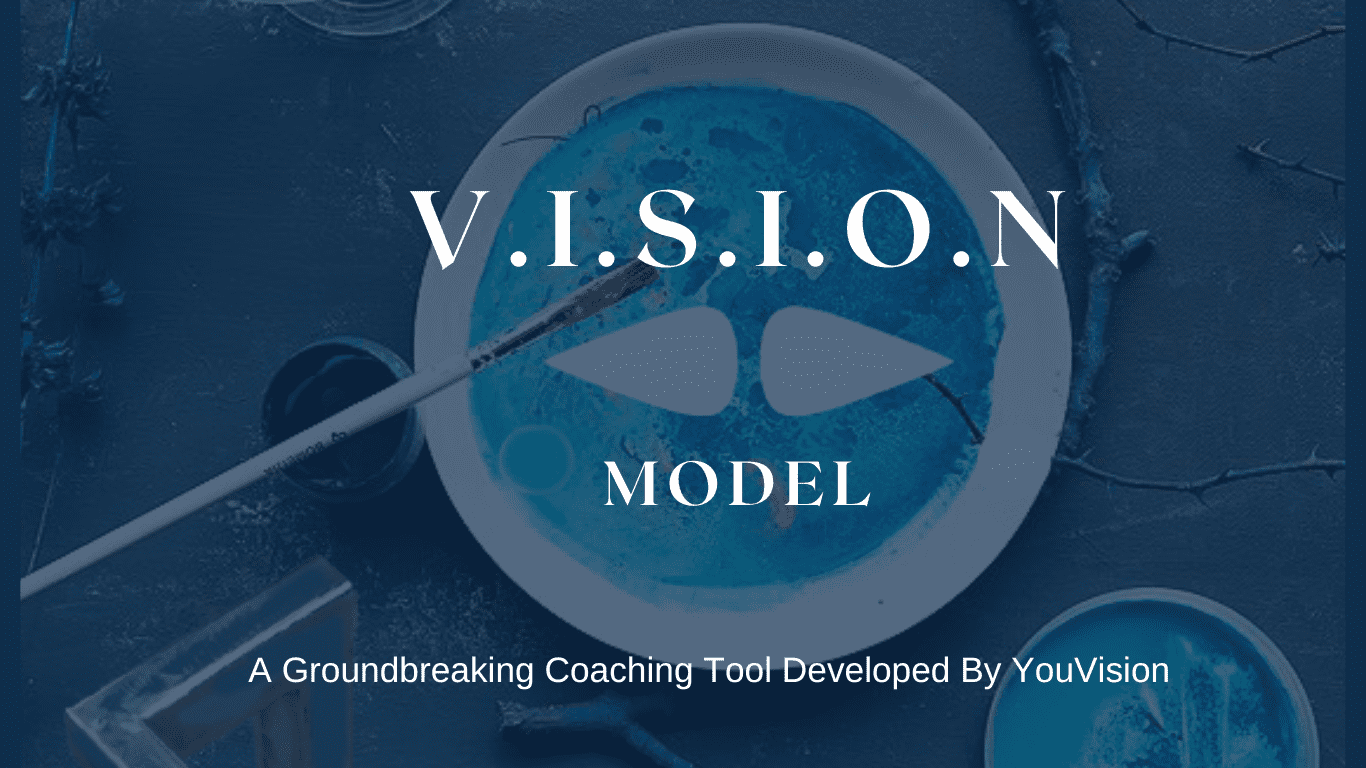 V.I.S.I.O.N model